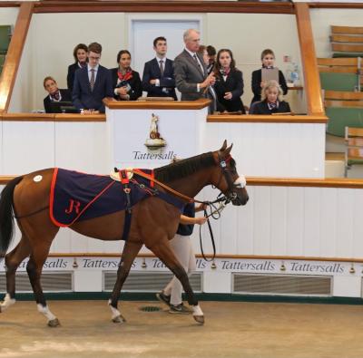 Bunglejungleparty Tops Tattersalls August Sale