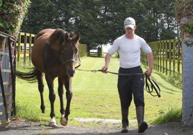 Mujadil continues to prove that he is a great sire of winners Image